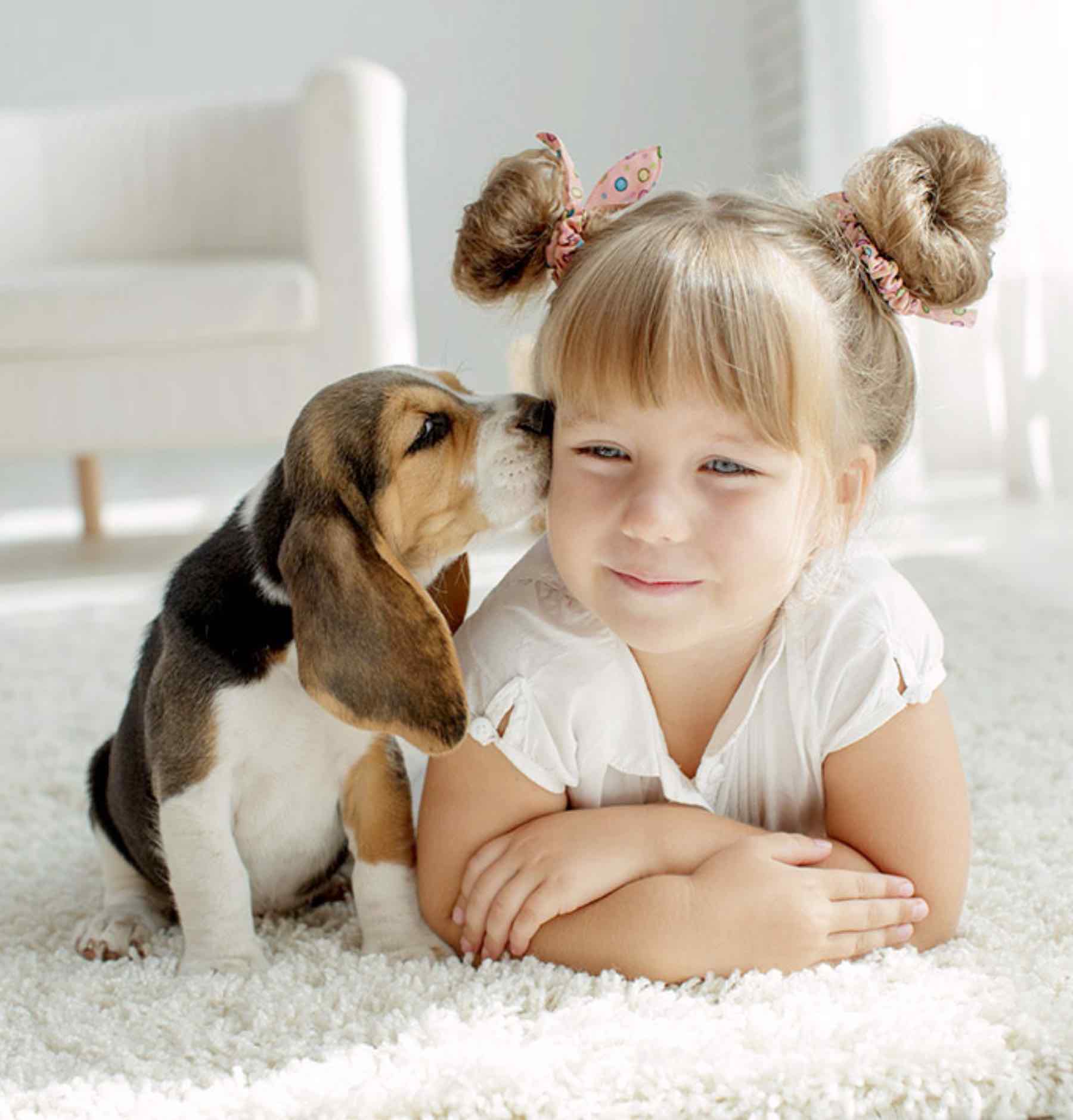 Zerorez has cleaners that are especially sensitive for kids and pets.